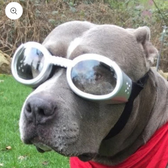 NEW IN PACKAGE Doggles ILS dog goggles size XL - Picture 5 of 5